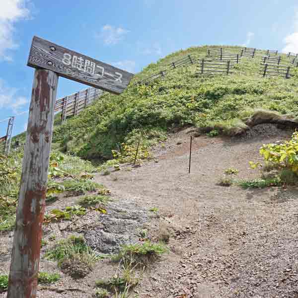 礼文島 岬めぐりコース ルート