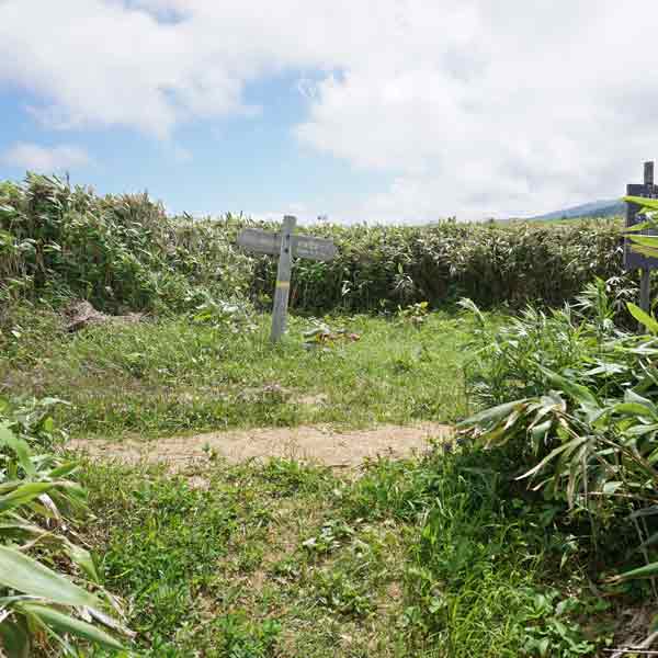 礼文島 岬めぐりコース 合流地点