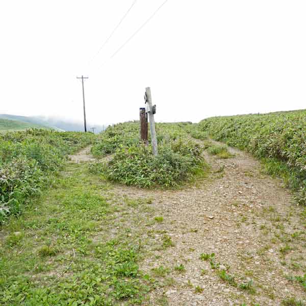 礼文島 8時間コース 沼国分岐
