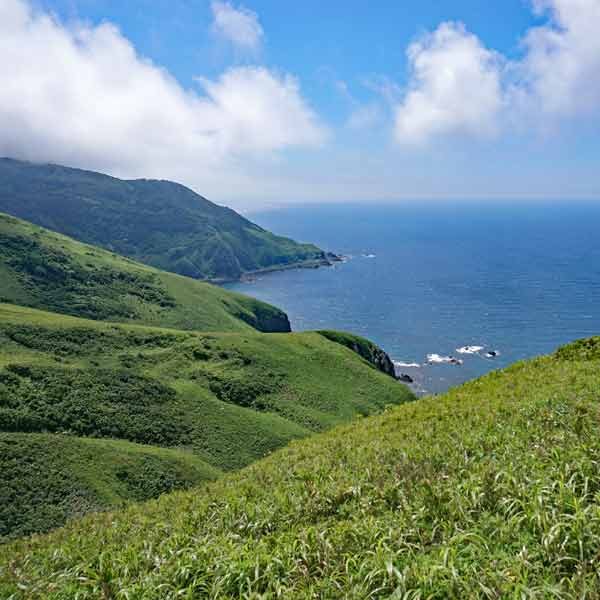 礼文島 8時間コース 沼国