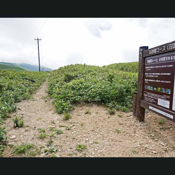 礼文島 8時間コース 沼国分岐