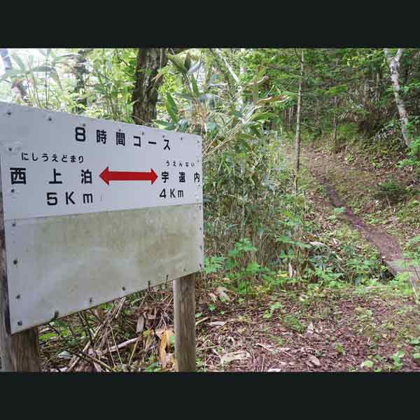 礼文島 8時間コース ルート