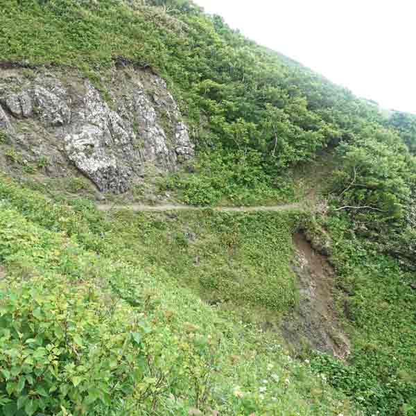 礼文島 8時間コース ルート