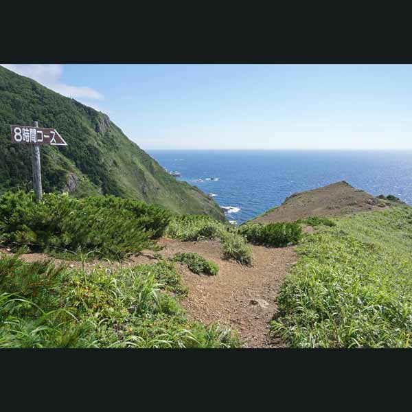 礼文島 8時間コース ルート