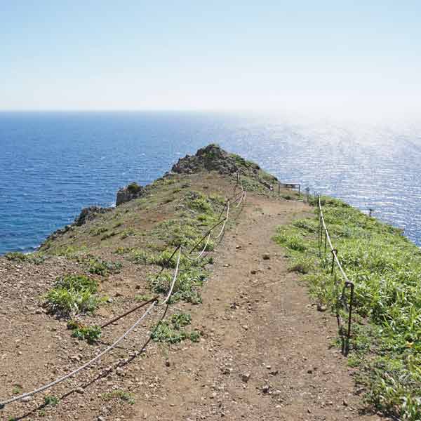 礼文島 8時間コース ルート