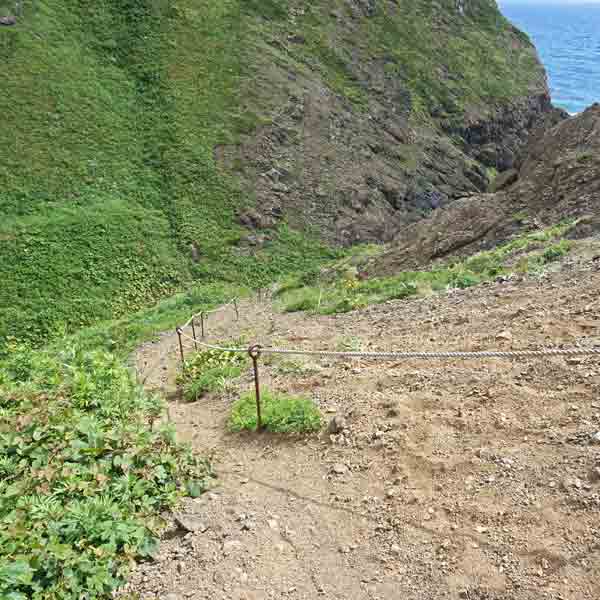 礼文島 8時間コース ルート