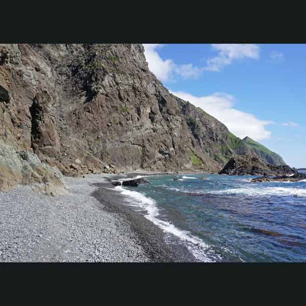 礼文島 8時間コース ルート