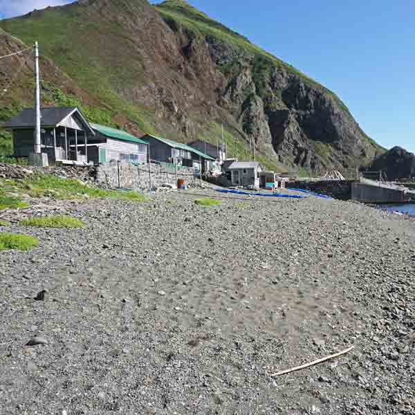 礼文島 8時間コース 宇遠内