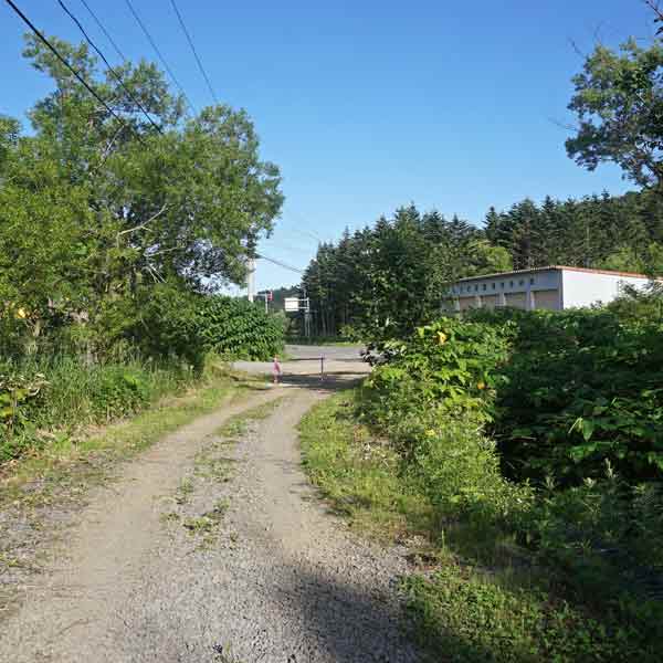 礼文島 8時間コース 自然歩道出口