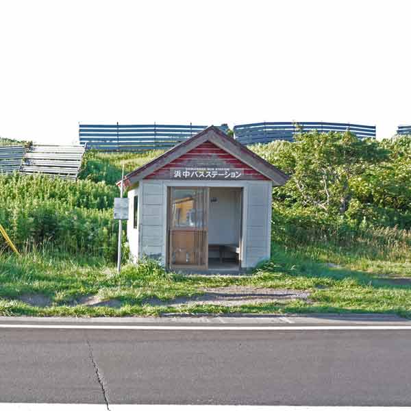 礼文島 岬めぐりコース バス停浜中