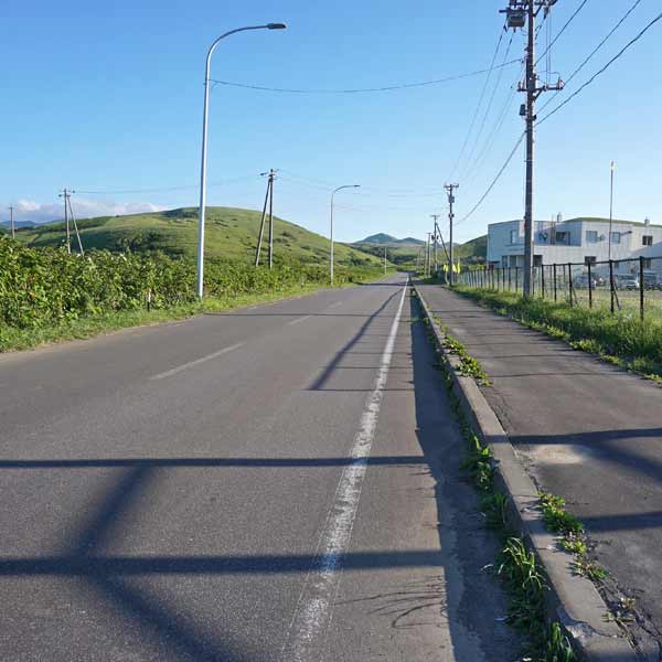 礼文島 8時間コース ルート