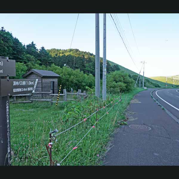 礼文島 岬めぐりコース ルート