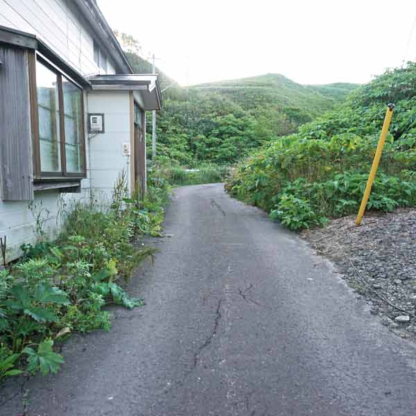 礼文島 桃岩展望台コース ルート