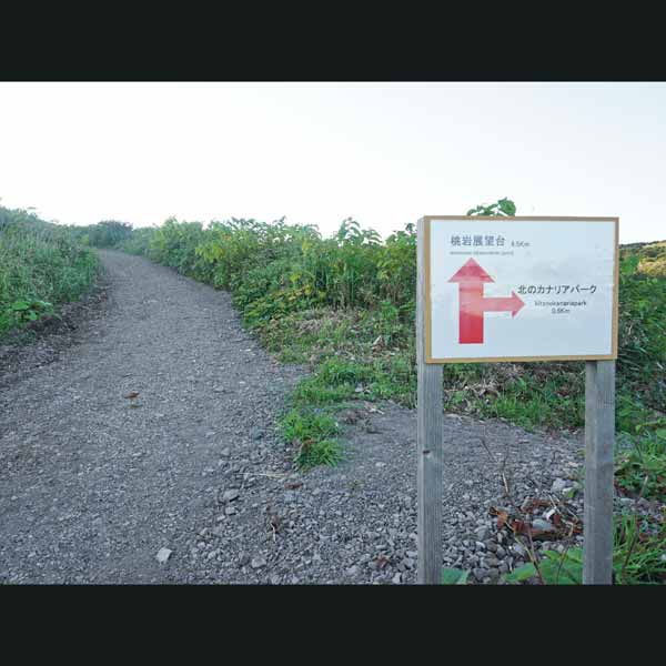 礼文島 桃岩展望台コース 分岐