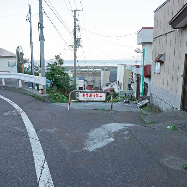 礼文島 桃岩展望台コース ルート
