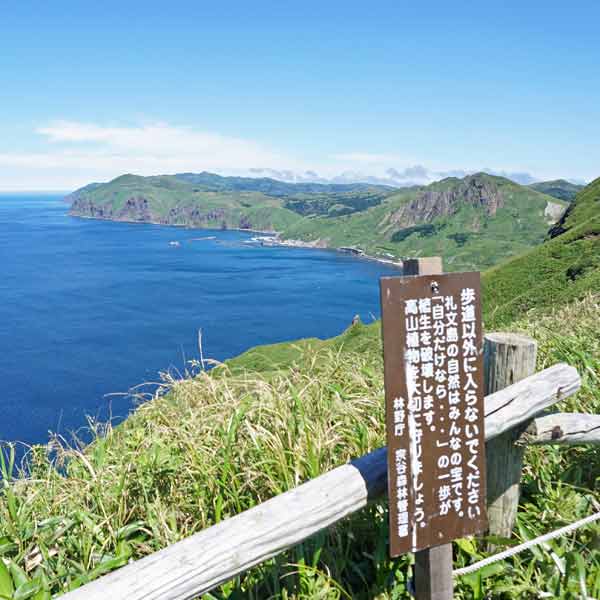 礼文島 桃岩展望台コース 元地灯台