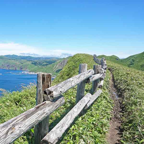 礼文島 桃岩展望台コース ルート