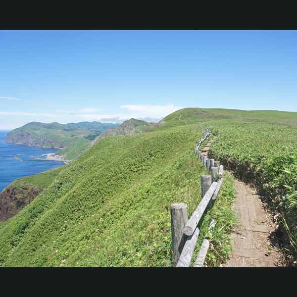 礼文島 桃岩展望台コース ルート