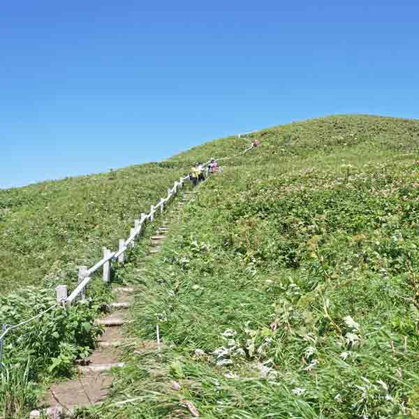 礼文島 桃岩展望台コース ルート