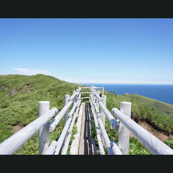 礼文島 桃岩展望台コース ルート