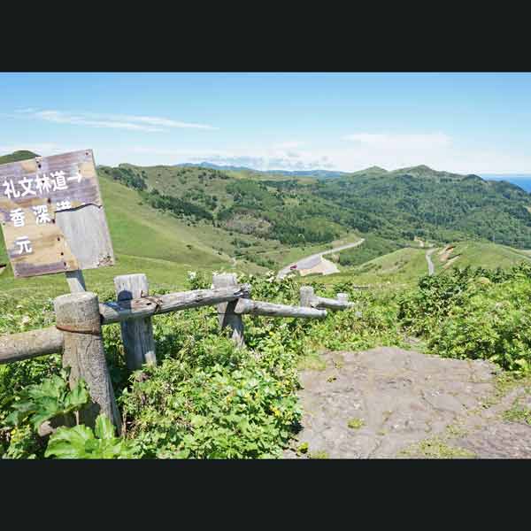 礼文島 桃岩展望台コース ルート