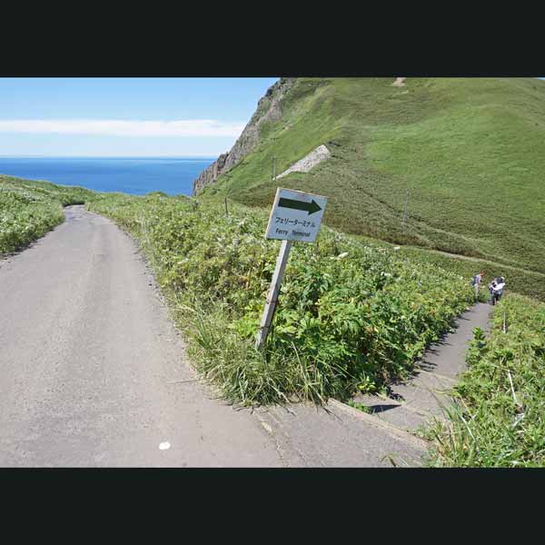 礼文島 桃岩展望台コース ルート