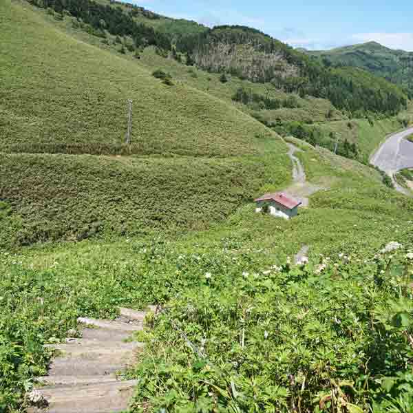 礼文島 桃岩展望台コース ルート