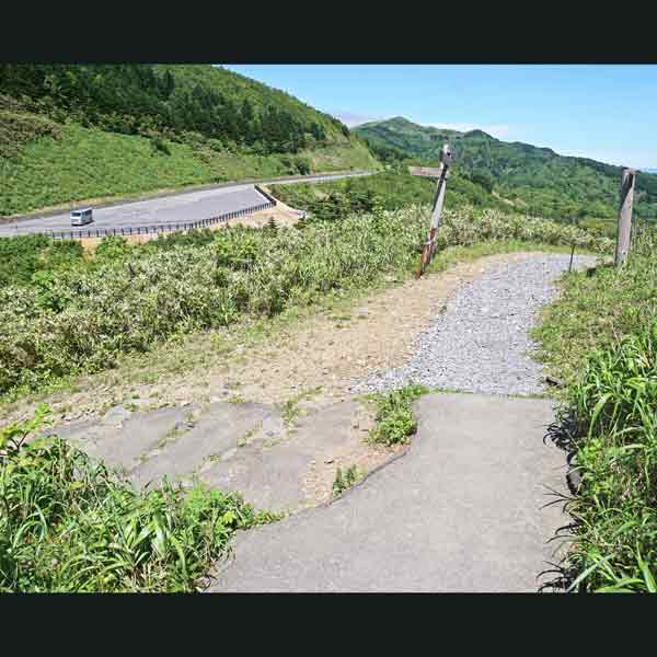 礼文島 桃岩展望台コース 分岐