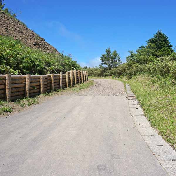 礼文島 礼文林道コース ルート