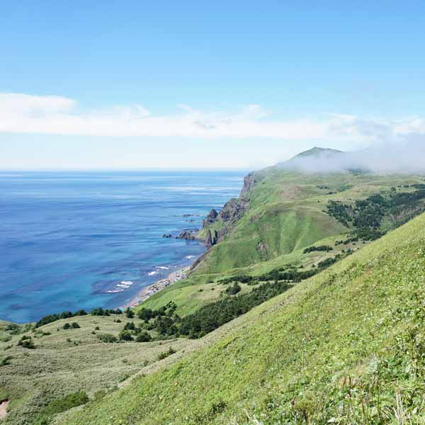 礼文島 礼文林道コース 元地