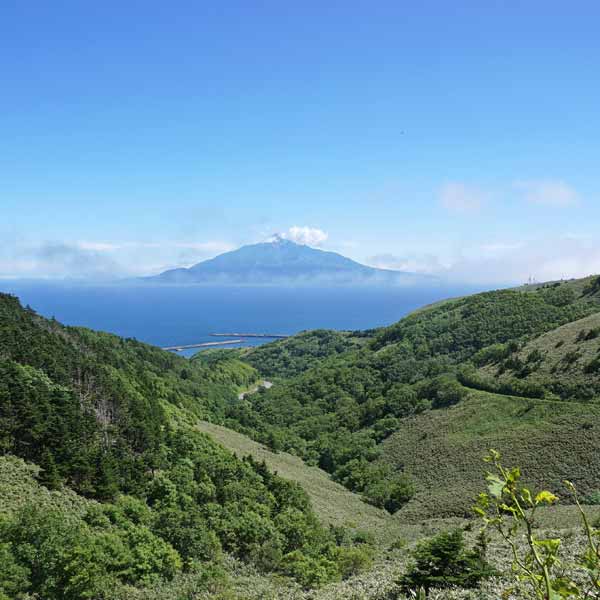 礼文島 礼文林道コース 利尻山