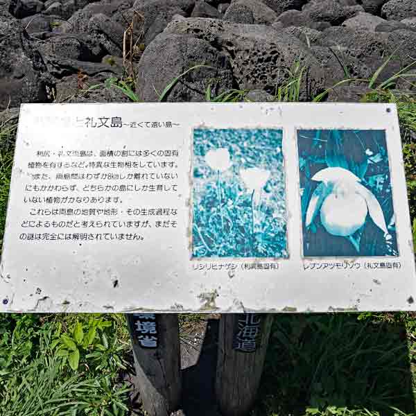 看板 利尻島と礼文島について