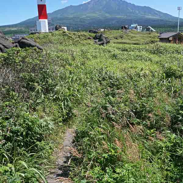 利尻島 沓形岬園地 ルート