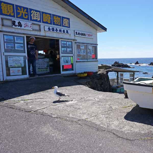 利尻島 仙法志御崎公園 ルート
