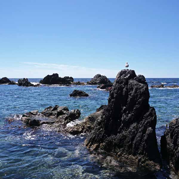 利尻島 仙法志御崎公園 溶岩