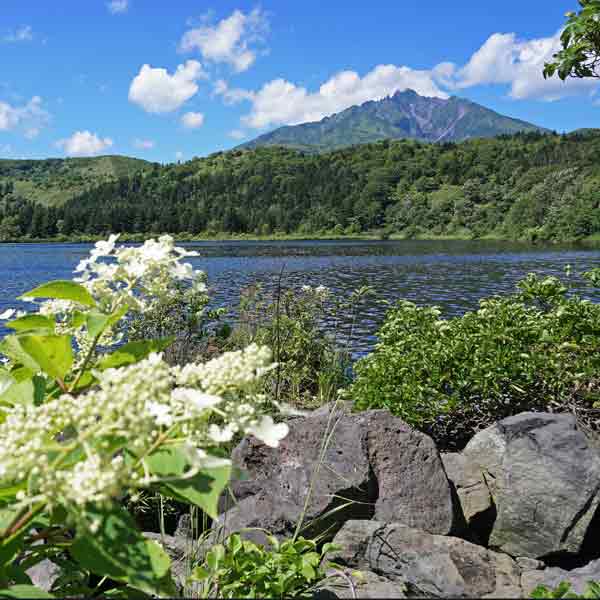 利尻島 オタトマリ沼 利尻山