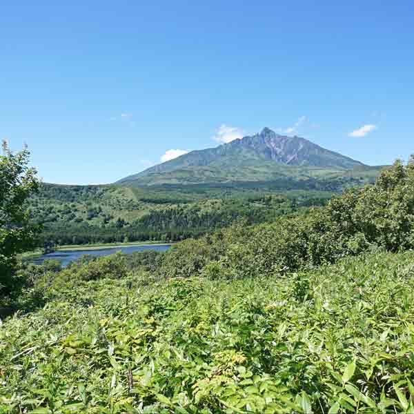 利尻島 白い恋人の丘 利尻山とオトタマリ沼