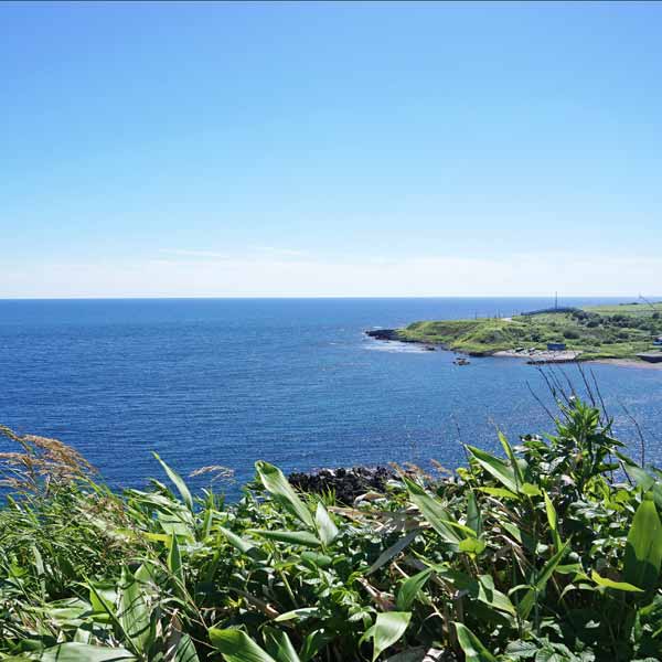 利尻島 白い恋人の丘 沼浦展望台
