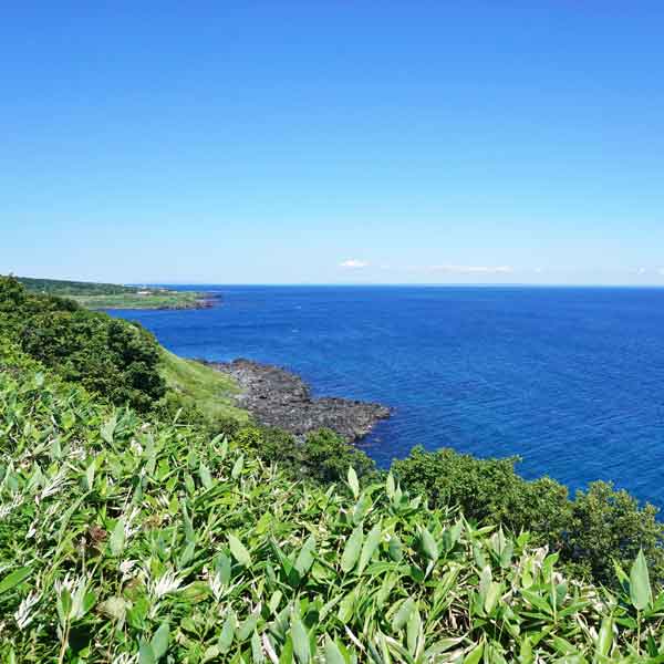利尻島 白い恋人の丘 沼浦展望台