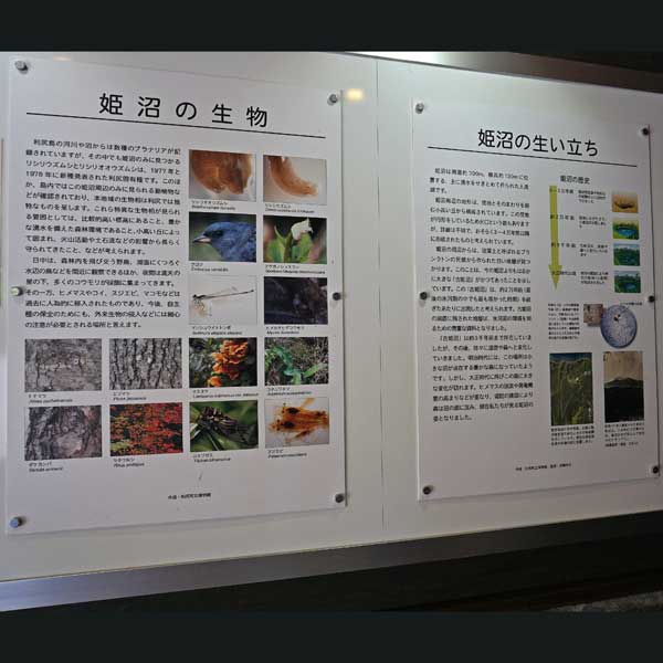 看板 姫沼の生物／姫沼の生い立ちについて