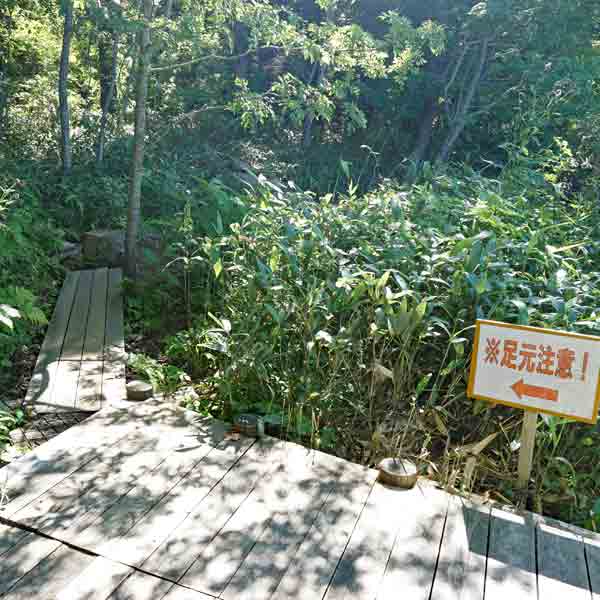 利尻島 姫沼ポン山探勝路