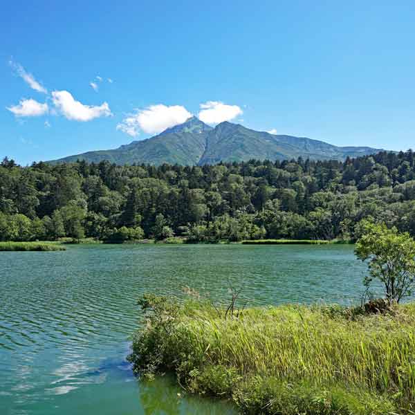 利尻島 姫沼 利尻山