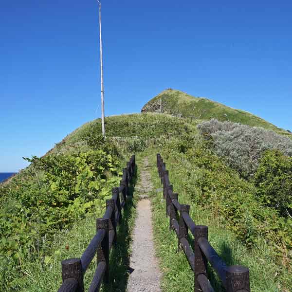 利尻島 ペシ岬 ルート