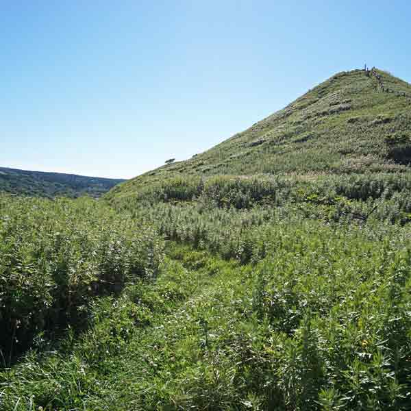 利尻島 ペシ岬 ルート