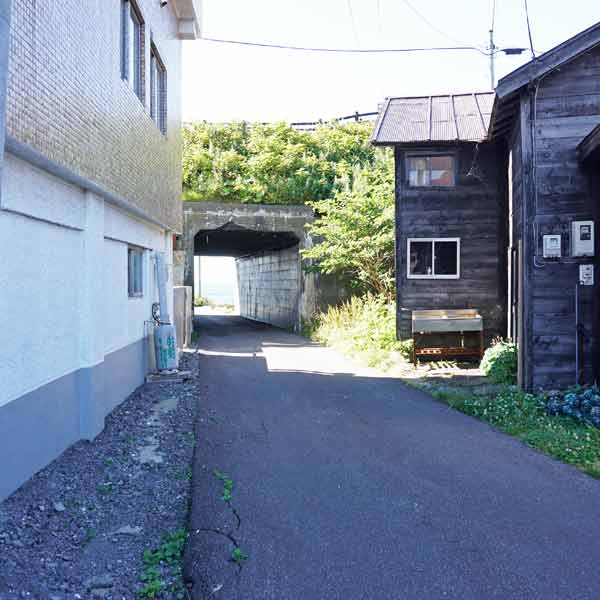 利尻島 ペシ岬 ルート