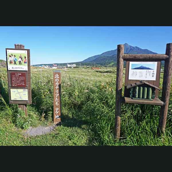看板 北のカナリアたち／利尻山十六景、十四景「夢みる山」