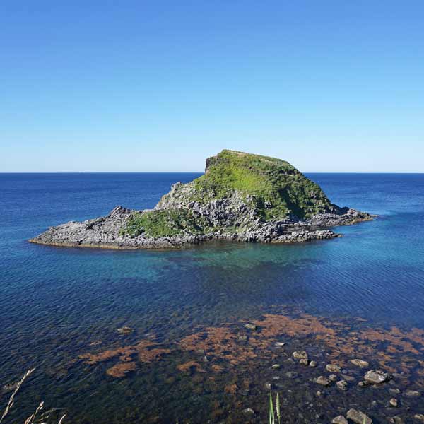 利尻島 富士野園地 ポンモシリ島