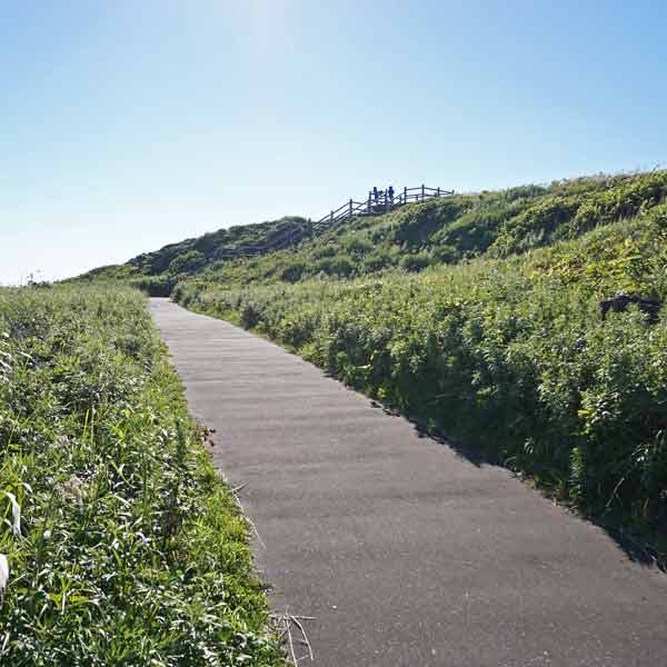 利尻島 富士野園地 ルート