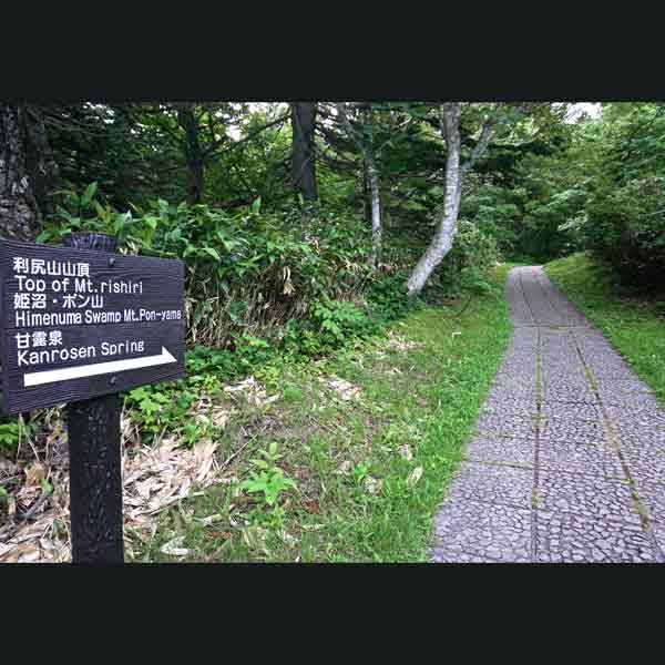 利尻島 利尻山 ルート