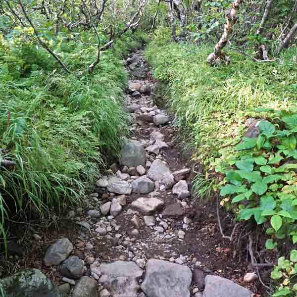 利尻島 利尻山 ルート